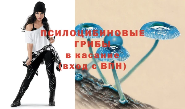 PSILOCYBIN Володарск