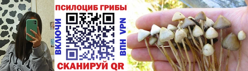 Купить закладки  Петропавловск-Камчатский  Галлюциногенные грибы GOLDEN TEACHER 